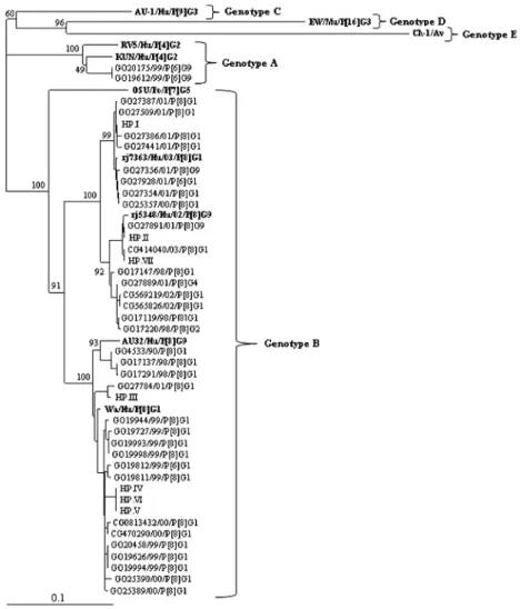 Fig. 1: phylogenetic analysis of nucleotide sequences of group A rotavirus nonstructural protein (NSP4) gene