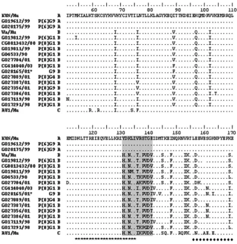 Fig. 2: multiple alignment of the partial deduced amino acid sequence of the NSP4 protein of 15 human rotaviruses samples with human proto- proto-type strains grouped in genoproto-types A, B and C