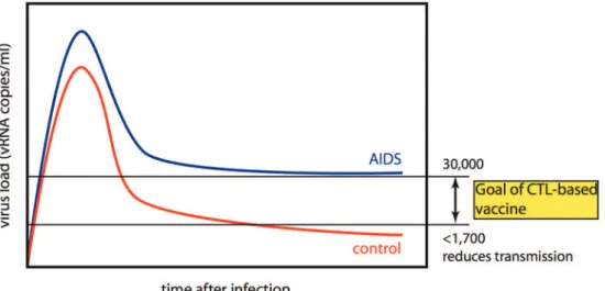 Fig. 1: the goal of a CD8 +  lymphocyte-based vaccine is to prevent transmission in the chronic phase.