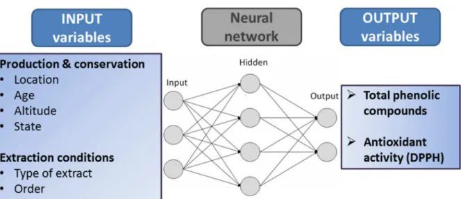 Figure 3 – Input and output variables to consider in the ANN analysis. 