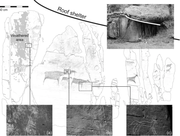 Fig. 9. Rock art Panel 16 from Vale de José Esteves partially protected by a rock shelter (tracing Baptista, 2009) with an example of  Late-glacial sign affected by weathering (a); un-weathered Late-glacial red deer motif (b); un-weathered Iron Age canid m