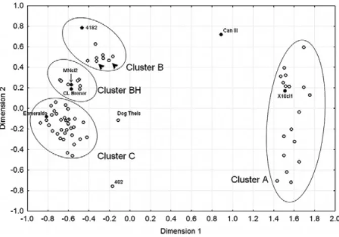 Fig.  2:  neighbor-joining  trees  obtained  from  the  sequences  of  three  mitochondrial  genes  of  Trypanosoma  cruzi:  cytochrome  oxidase  subunit II  (COII)  (Freitas  et  al