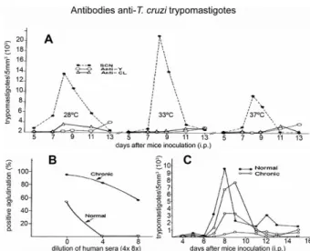 Fig.  3A:  parasitemia  in  mice  inoculated  with  trypomastigotes  pre- pre-incubated  at  various  temperatures  with  anti-Y  or  anti-CL  sera  from  chronically infected mice or control sera; B: direct agglutination with  sera  from  chronic  patient