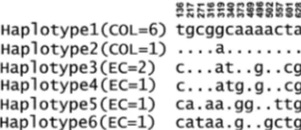 Fig. 2: alignment of unique cytochrome c oxidase subunit I gene hap- hap-lotypes of 13 Anopheles calderoni from Colombia (COL) (n = 7) and  Ecuador (EC) (n = 6)