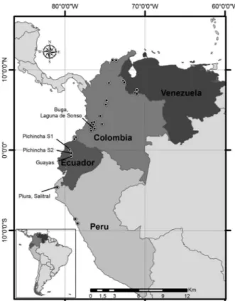 Fig. 3: map indicating the known distribution of Anopheles calderoni  in Colombia, Ecuador, Peru and Venezuela, based on morphological  and molecular verification, following this study and those of  Wilker-son (1991) and Rubio-Palis and Moreno (2003)
