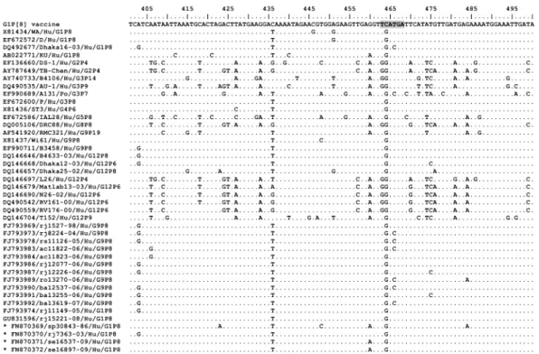 Fig. 1: vaccine site specificity. Alignment of nucleotides sequences of the non structural protein 3 gene of Rotarix ®  G1P[8] vaccine, clinical  and prototype samples