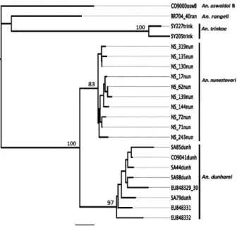 Fig.  2:  bootstrap  neighbor-joining  tree  constructed  using  1,000  repli- repli-cates of Kimura two-parameter distance model genetic distance  matri-ces of cytochrome c oxidase unique haplotypes (680 bp) belonging to 23  specimens (only unique haploty