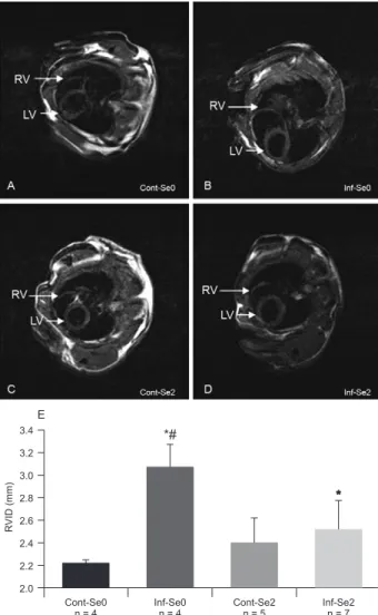 Fig. 1: effect of selenium (Se) supplementation on hearts of mice in- in-fected with  Trypanosoma cruzi at the chronic phase, 100 days after  infection