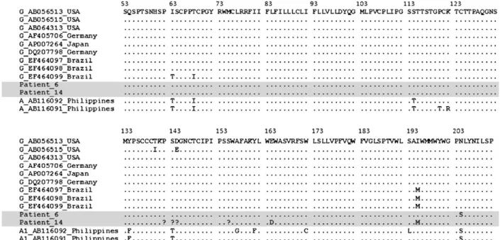 Fig. 2: amino acid sequences from partial nucleotide sequence of HBsAg (S) gene from two hepatitis B virus (HBV) genotype G in HBV/ human im- im-munodeficiency virus co-infected Brazilian patients (shown in the grey box) and from other HBV genotype G and A