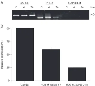 Fig. 3: phosphate-regulating gene with homologies to endopeptidase  on  the  X  chromosome  (PHEX)  expression  inhibition  observed  by  osteoblasts’  flow  cytometry