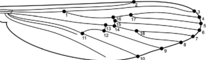 Fig. 3: centroid sizes, in millimeters. Black dot: mean; whiskers: stan- stan-dard deviation; boxes: stanstan-dard error