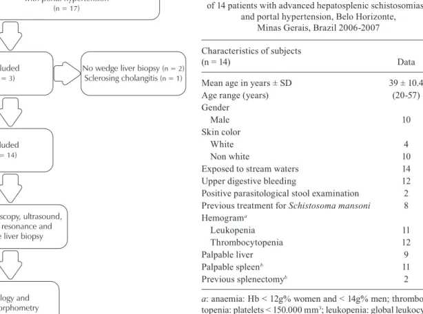 Fig. 1: study’s flow chart.