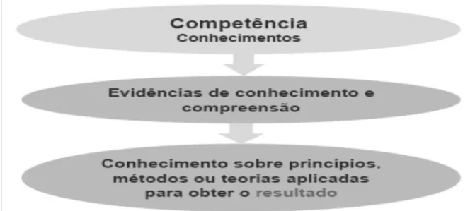 Figura 3: Evidências de conhecimento e compreensão. 