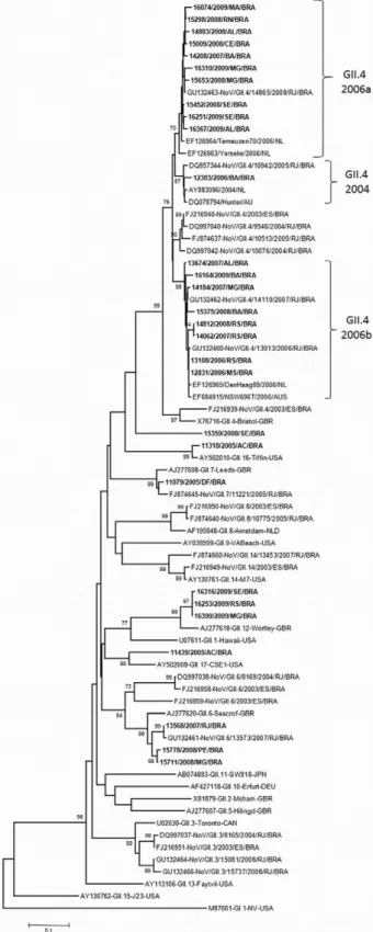 Fig. 1: phylogenetic tree based on a partial fragment (221 nt) of the  norovirus  (NoV)  capsid  (region  D)  from  samples  obtained  in   dif-ferent  Brazilian  states