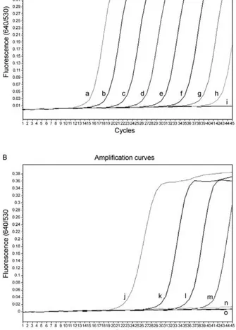 Fig. 2: amplification plot of fluorescence (y-axis) vs. cycle numbers  (x-axis) shows the analytical sensitivity of the real-time polymerase  chain reaction for detecting serial dilutions of Schistosoma japonicum  plasmid DNA copies (A) and genomic DNA (B)