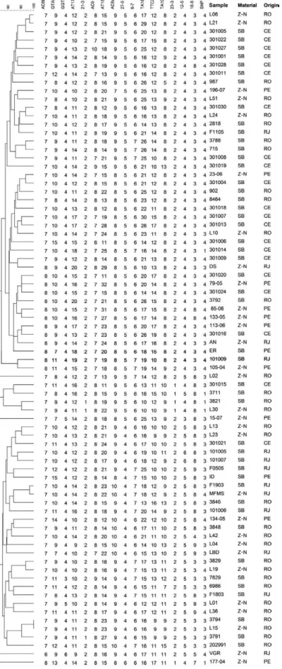 FIG. 2: unweighted pair group method with arithmetic mean-based dendrogram based on complete variable number tandem repeat genotypes  from 78 Brazilian Mycobacterium leprae isolates