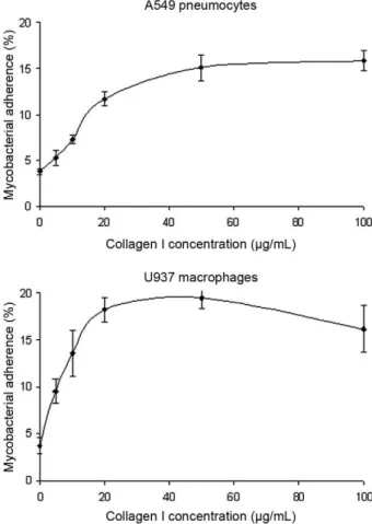Fig.  3:  effect  of  collagen  pretreatment  on  the Mycobacterium  bovis  BCG cytoadherence