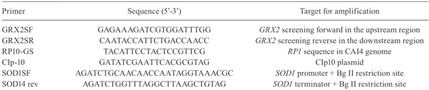 TABLE II Primers used in this study