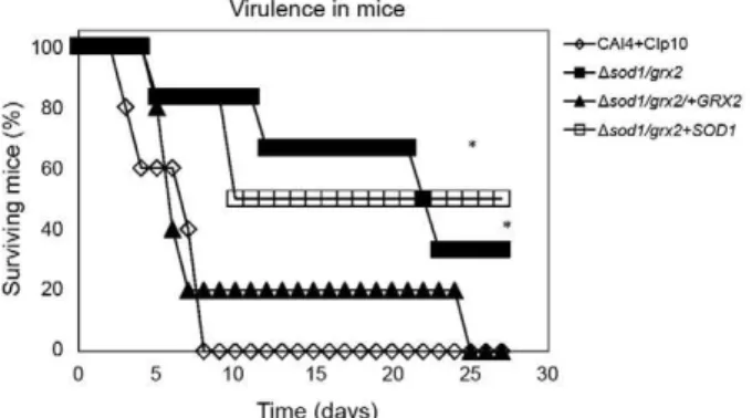 Fig.  8:  oxidative  stress  double  mutant  strain  series  killing  by  poly- poly-morphonuclear neutrophils (PMNs)