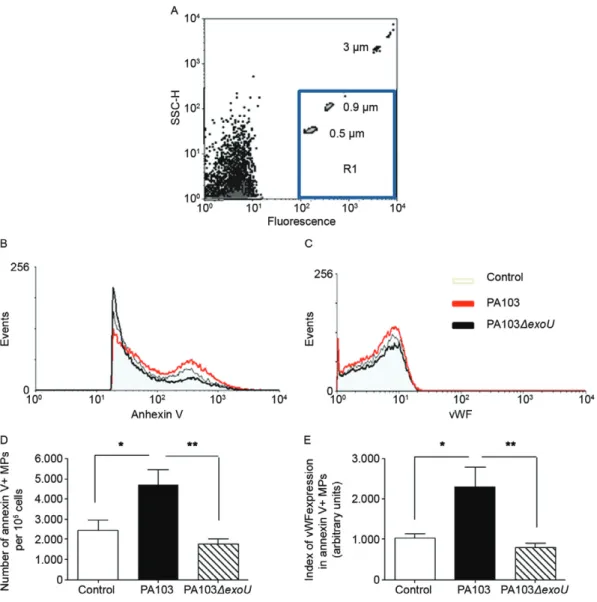 Fig. 2: release of microparticles (MPs) by control and infected endothelial cells detected by flow cytometry analysis