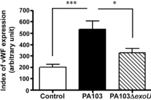 Fig. 3: index of cell-associated von Willebrand factor (vWF) in control  uninfected and infected cells, obtained with the formula: percentage  of vWF-expressing cells x median of cell fluorescence intensity