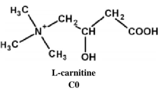 Figure 1. L-Carnitine structure. Adapted from (Jones et al., 2010). 