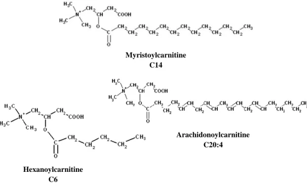 Figure 2. Examples of acylcarnitine structures. Adapted from (Jones et al., 2010). 