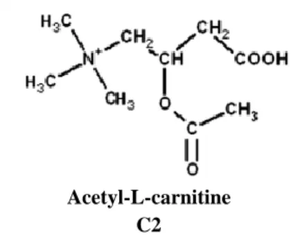 Figure 3. Acetyl-L-carnitine structure. Adapted from (Jones et al., 2010). 