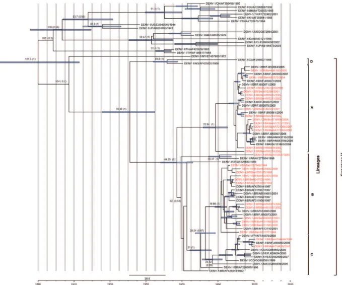 Fig. 3: molecular clock of dengue virus serotype 1 (DENV-1). DENV-1 divergence time was estimated using year of isolation as calibration points  under the strict molecular clock model