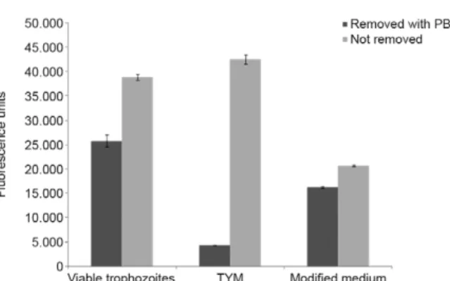 Fig.  1:  comparison  of  colours  in  wells  without  trophozoites  using  trypticose-yeast-maltose  (A)  and  phosphate  buffered  saline/glucose  (PBS/G) (B) as medium after incubation with resazurin