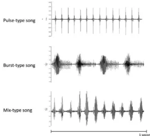 Fig. 2: sample of the three types of songs found in the sandfly Lut- Lut-zomyia  longipalpis