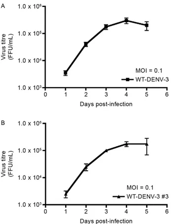 Fig. 6: kinetics of dengue virus type 3 (DENV-3) replicon RNA syn- syn-thesis in transfected BHK-21 cell