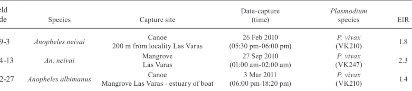 Table  II  shows  the  field  code,  the  species  infected,  the  capture site, date and time and the Plasmodium species  detected