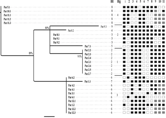 Fig.  2:  maximum-likelihood  phylogenetic  tree  based  on  single  nucleotide  polymorphism  (SNP)  differences  across  the Cytb  gene  of Taenia  solium cysticerci