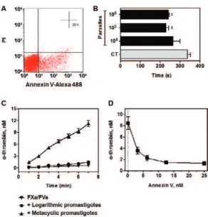 Fig. 1: procoagulant activity of Leishmania amazonensis metacyclic  promastigotes. A: analysis of phosphatidylserine exposure on  meta-cyclic  promastigotes