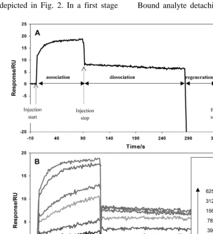 Fig. 1 illustrates the results of three sequential preconcentration assays. Using ca. 1700 RU as a reasonable immobilization level for the direct kinetic assay of small peptide binding to an antibody  sur-face, situation A 5Ž m g r ml mAb in 10 mM acetate 