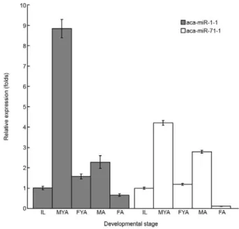 Fig. 2: expression profiles of selected microRNAs of Angiostrongy- Angiostrongy-lus cantonensis young adults in different developmental stages