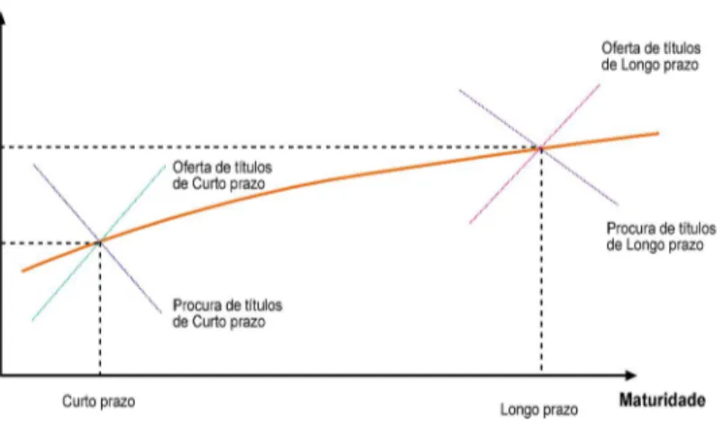 Gráfico 2.3. – ETTJ segundo a teoria dos mercados segmentados. 