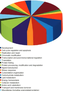 Fig. 2: pie chart illustrating the distribution of annotated proteins in  different classes after manual curation and classification.