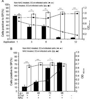 Fig.  4:  effect  of  the  frequency  of  dose  application  and  post-inoc- post-inoc-ulation  time  of  application  on  the  inhibition  of  ECwt  infection  by  N-acetylcysteine  (NAC)