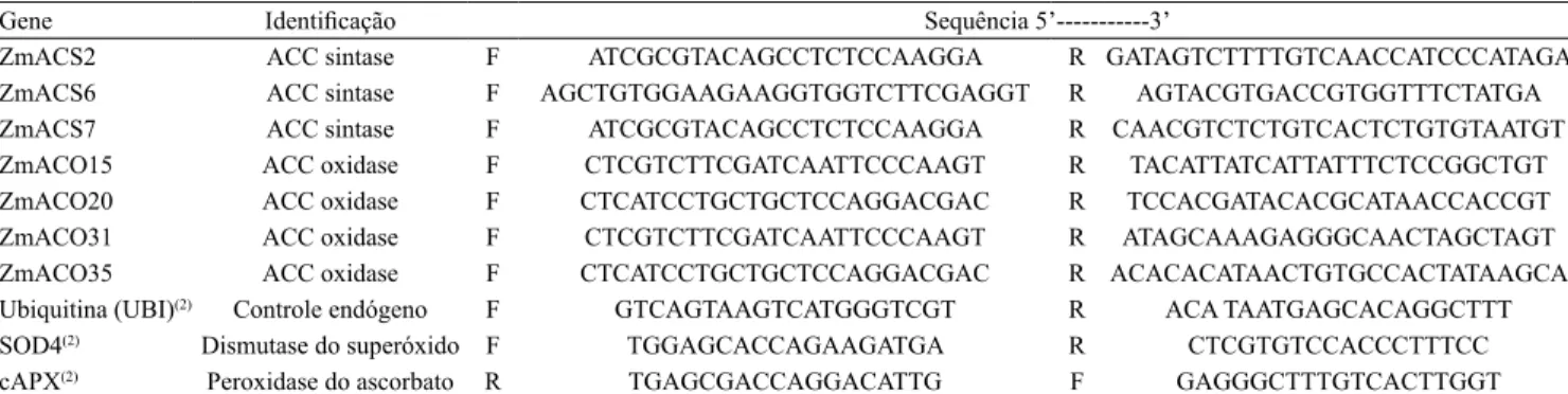 Tabela 1. Sequências dos iniciadores utilizados na análise de qRT-PCR em raízes de milho (Zea mays) 'BRS 4154' submetidas  ao alagamento (1) .