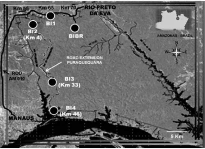 Fig.  1:  satellite  image  of  military  reserve  area  in  the  state  of  Ama- Ama-zonas,  Brazil,  showing  the  distribution  of  the  five  bases  of   instruc-tion (BI) [Marechal Rondon (BI1), Lobo D’Almada (BI2), Placido de  Castro (BI3), Pedro Tei