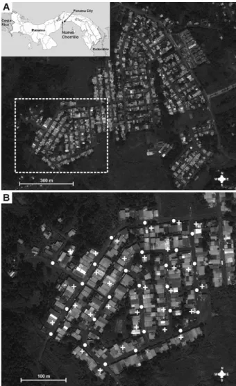 Fig. 1: study area. A: community of Nuevo Chorrillo. Inset map shows  the approximate location of Nuevo Chorrillo in relation to Panama’s  capital,  Panama  City