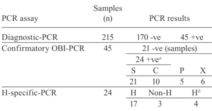 Table III shows the demographical and clinical data of  the study adjusted by the HBV DNA+ (n = 24) and HBV  DNA- children (n = 191)