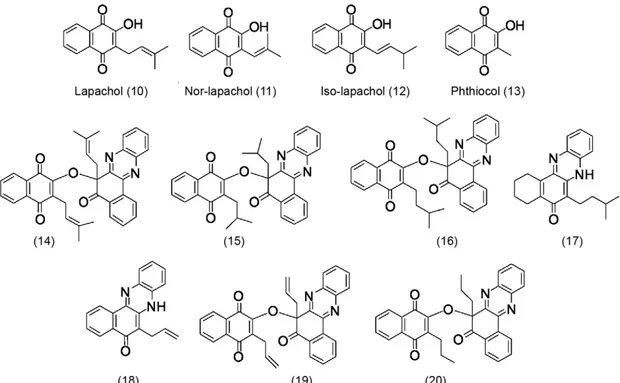 Fig. 3: lapachol (10), nor-lapachol (11), iso-lapachol (12), phthiocol (13) and phenazine compounds 14-20.