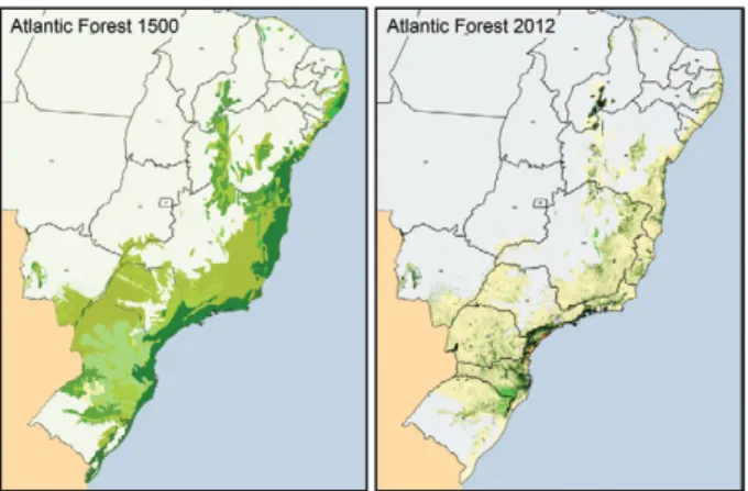 Fig.  2:  Brazilian  territorial  surface  occupied  by  the  Atlantic  Forest: 
