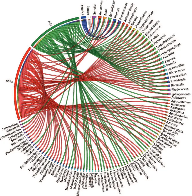Fig. 2: Anopheles-associated microbiota distributed by continent. Circular web plotted from a subset of the anopheline microbiota databank fil- fil-tered in order to show the correspondence between bacterial genus and its anopheline host according to the c
