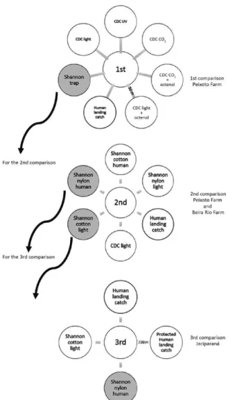 Fig. 2: methodology used in three comparisons of anopheline collec- collec-tion methods in Brazil