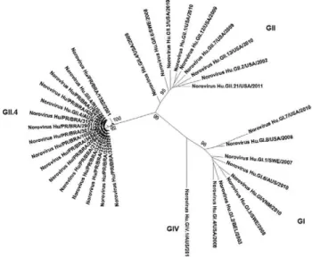 Fig. 2: neighbour-joining tree based on a 208 nucleotides sequence  of  the  region  of  VP1,  depicting  phylogenetic  relationships  among  norovirus from the state of Paraná, southern Brazil, and a reference  panel of sequences obtained from GenBank