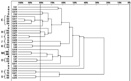 Fig. 1: dendrogram presenting the genetic relatedness of 31 Candida albicans strains from intensive care unit patients generated by random  amplified polymorphic DNA polymerase chain reaction, using CD16AS, HP1247, ERIC-2, OPE-3 and OPE-18 primers
